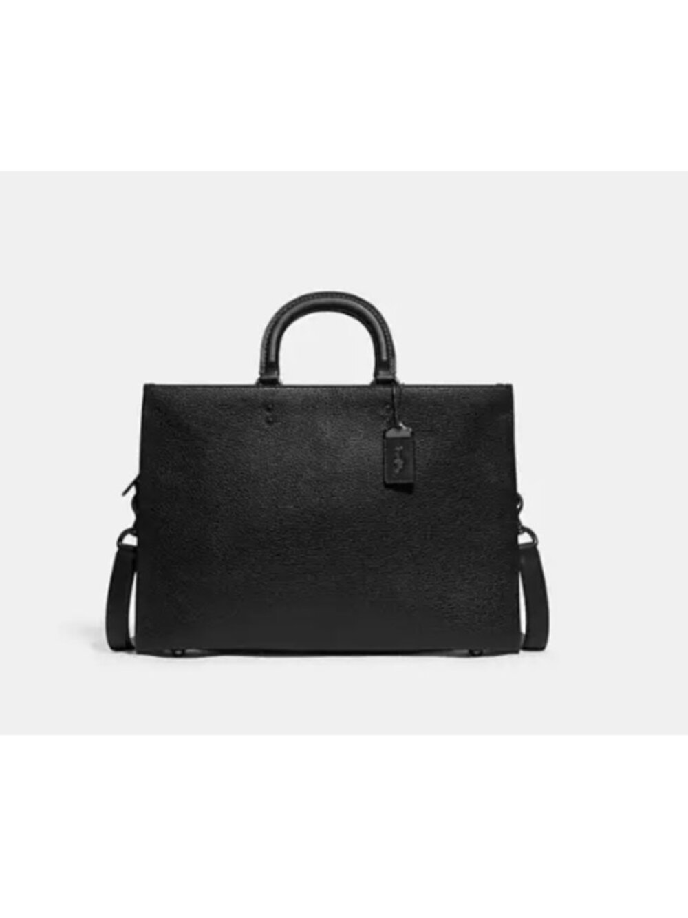 NWOT Coach Rogue Brief